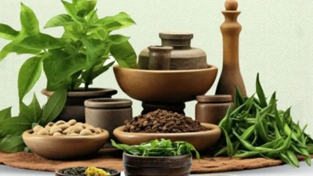 Ayurveda Day 2025:  ఆయుర్వేద దినోత్సవం ప్రాముఖ్యత.. థీమ్,  లక్ష్యాలు మీకు తెలుసా?