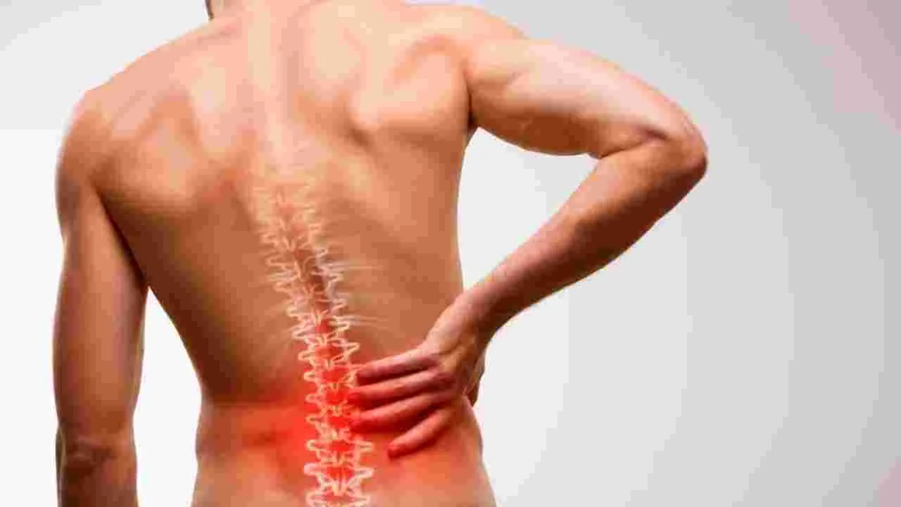 Back Pain Relief Tips:  నడుము నొప్పితో ఇబ్బంది పడుతున్నారా? ఈ జాగ్రత్తలు తీసుకోండి..!