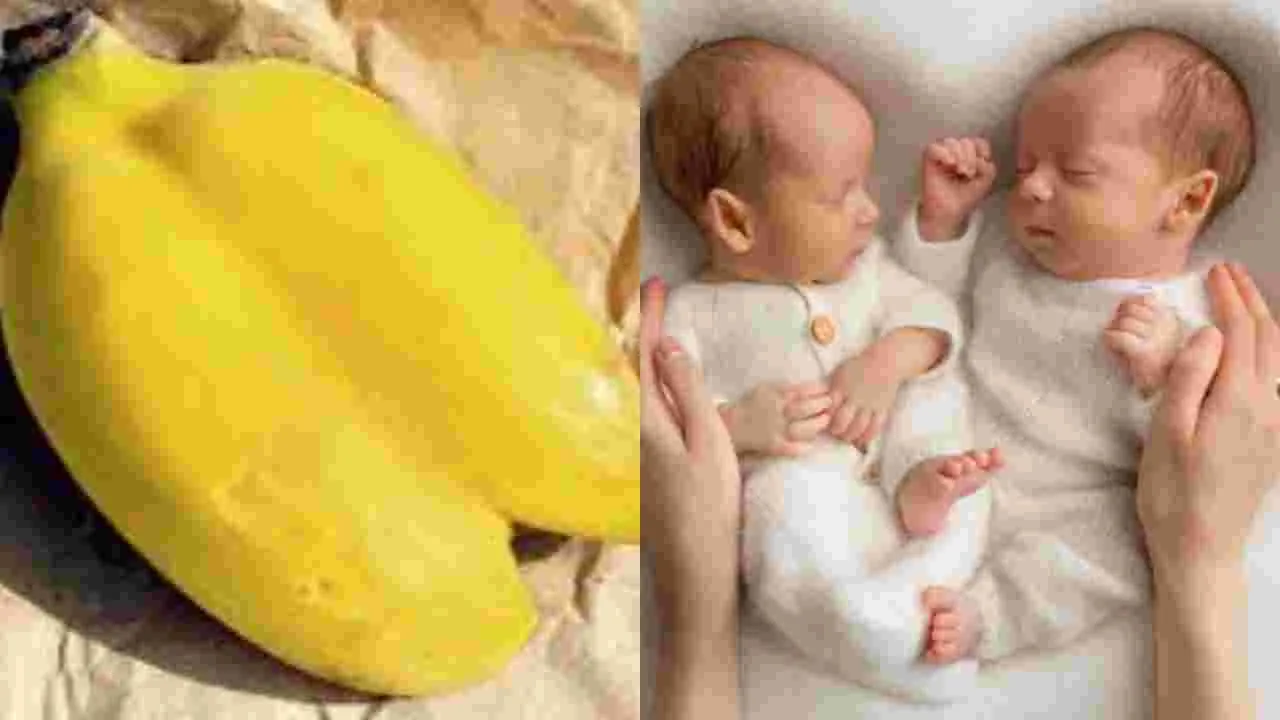 Twin Pregnancy Facts: జంట అరటి పండ్లు తింటే కవలలు పుడతారా.. ఇది నిజమేనా?
