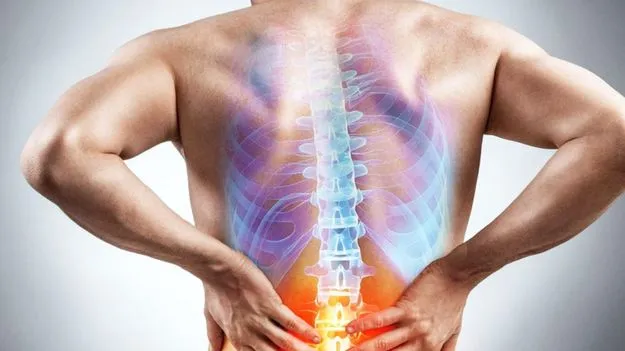 Foods For Strong Bones: ఎముకలు బలంగా ఉండాలంటే ఏం తినాలి?