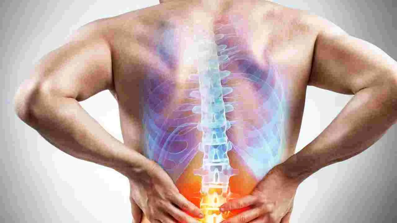 Foods For Strong Bones: ఎముకలు బలంగా ఉండాలంటే ఏం తినాలి?