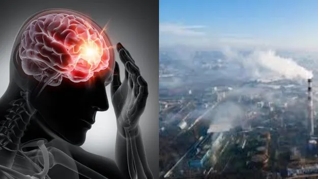 Effects of Pollution: పెరుగుతున్న కాలుష్యం.. మెదడుకు ఎలా ముప్పు కలిగిస్తుందో తెలుసా?