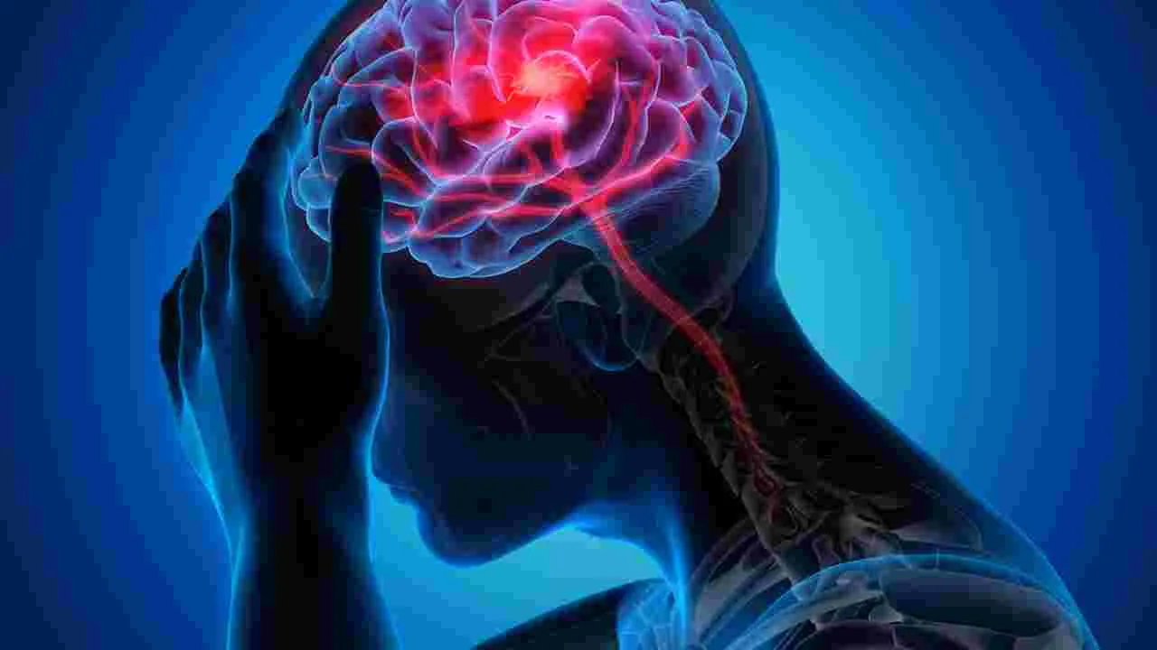 Brain Stroke Risk: బ్రెయిన్ స్ట్రోక్ వచ్చే ప్రమాదం ఎవరికి ఎక్కువగా ఉంటుంది?