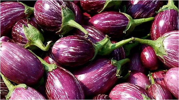 Brinjal Buying Tips: వంకాయలు కొనేటప్పుడు ఈ తప్పు చేయకండి! 
