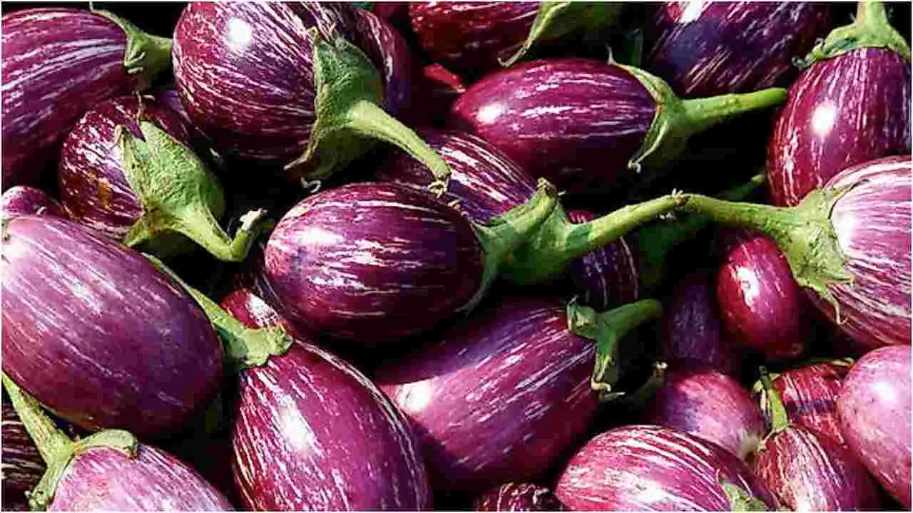Brinjal Buying Tips: వంకాయలు కొనేటప్పుడు ఈ తప్పు చేయకండి! 