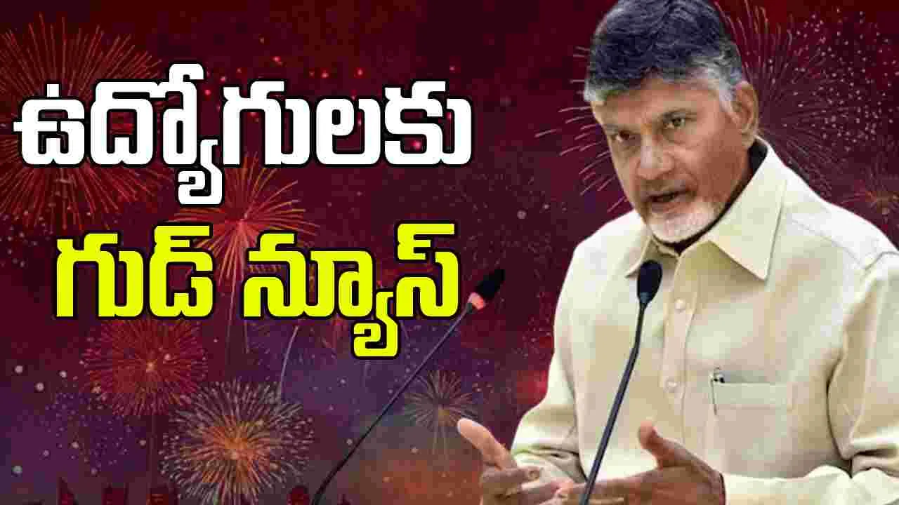 AP CM Chandrababu Naidu: ఉద్యోగులకు డీఏ ఇస్తాం.. వారి సమస్యలను పరిష్కరిస్తాం: సీఎం చంద్రబాబు
