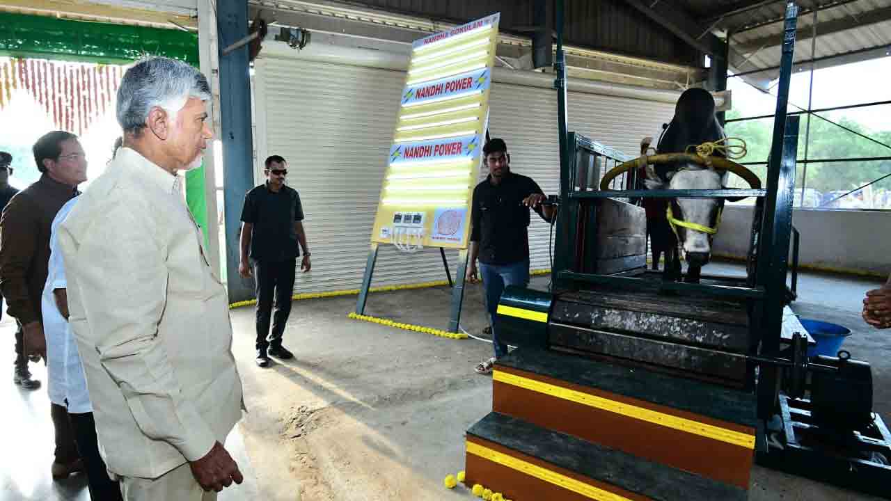 Chandrababu Naidu In Nandagokulam: నందగోకులంలో సీఎం చంద్రబాబు.. 