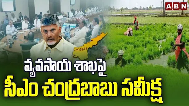 CM Chandrababu Agriculture Review: ప్రకృతి సేద్యంతోనే ఆరోగ్యం.. రైతులకు వివరించండి..