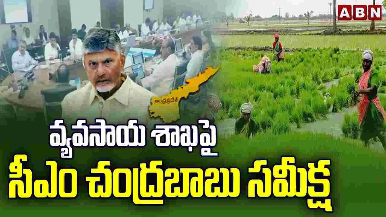 CM Chandrababu Agriculture Review: ప్రకృతి సేద్యంతోనే ఆరోగ్యం.. రైతులకు వివరించండి..