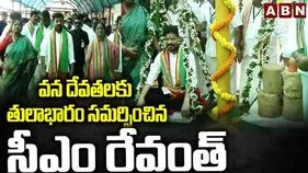 CM Revanth Reddy: మేడారంలో సీఎం రేవంత్ పర్యటన.. అధికారులకు కీలక ఆదేశాలు..