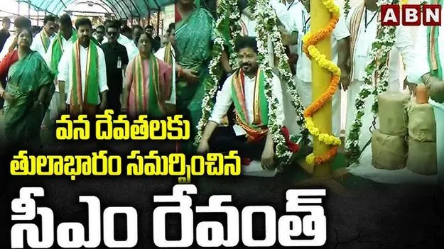 CM Revanth Reddy: మేడారంలో సీఎం రేవంత్ పర్యటన.. అధికారులకు కీలక ఆదేశాలు..