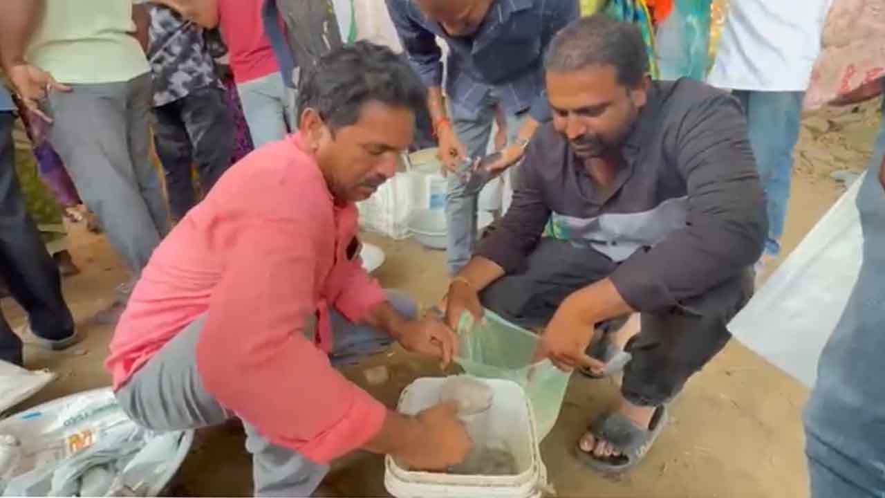 Cheermenu Fish: చీరమేను కోసం పోటెత్తిన మాంసాహార ప్రియులు..