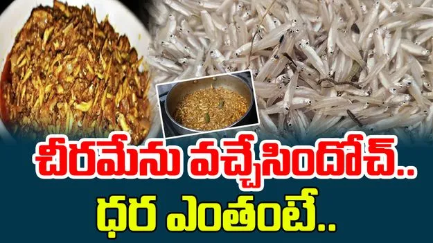 Cheeramenu Fish: రికార్డు స్థాయిలో చీరమేను ధర.. పోటెత్తిన మాంసాహార ప్రియులు