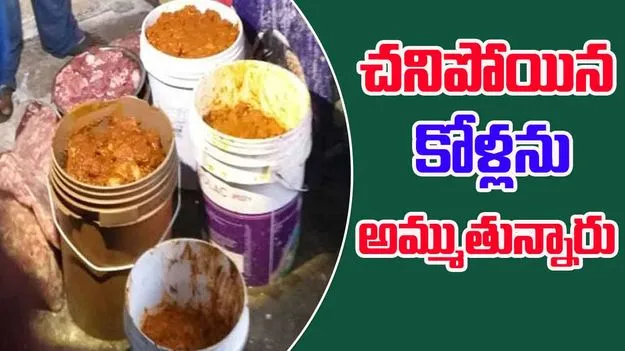 Guntur: చనిపోయిన కోళ్లను కూడా షాపుల్లో అమ్ముతున్నారు: ప్రకాష్ నాయుడు 
