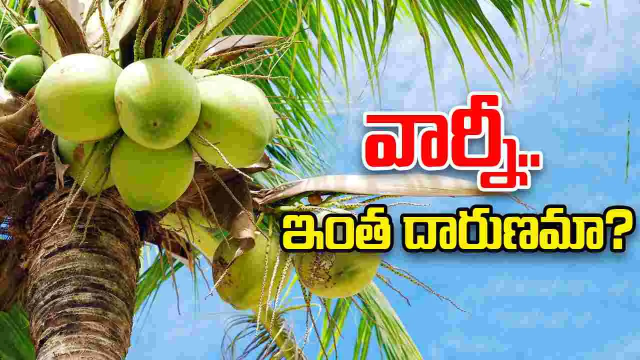 Coconut injection: కొబ్బరి నీళ్లు కూడా సురక్షితం కాదా.. ఈ వీడియో చూస్తే షాక్‌తో నివ్వెరపోవాల్సిందే..