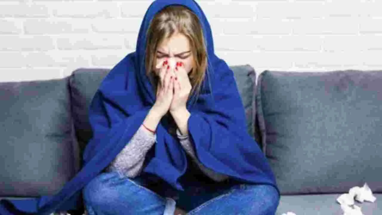 Remedies For Cold and Cough: జలుబు, దగ్గుతో ఇబ్బంది పడుతున్నారా? ఇలా ఉపశమనం పొందండి.!