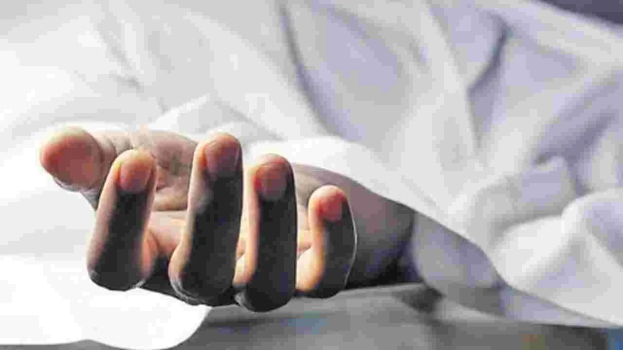 Tragedy: ఏపీలో తీవ్ర విషాదం.. అన్నాదమ్ములు మృతి