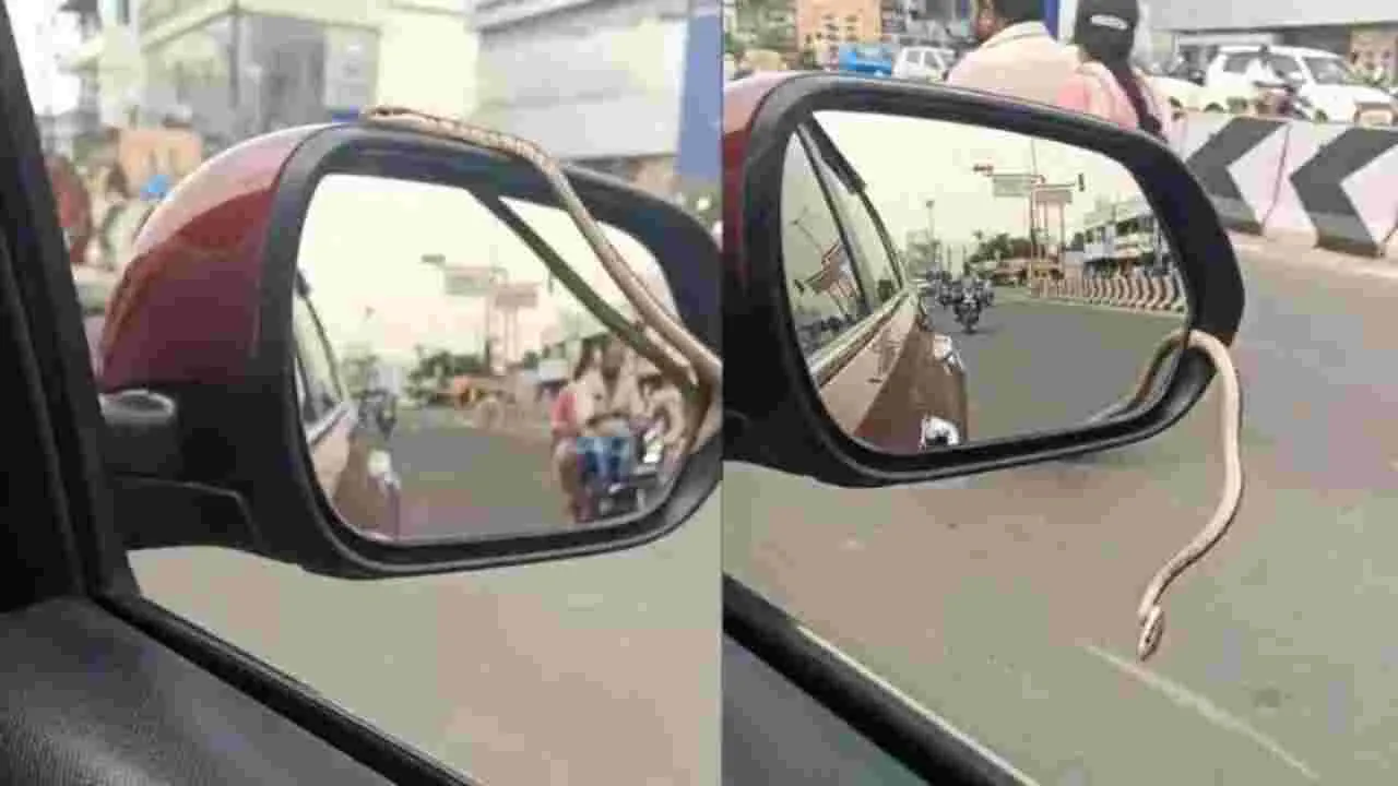 Viral Video: కారు అద్దం నుండి బయటకు వచ్చిన పాము