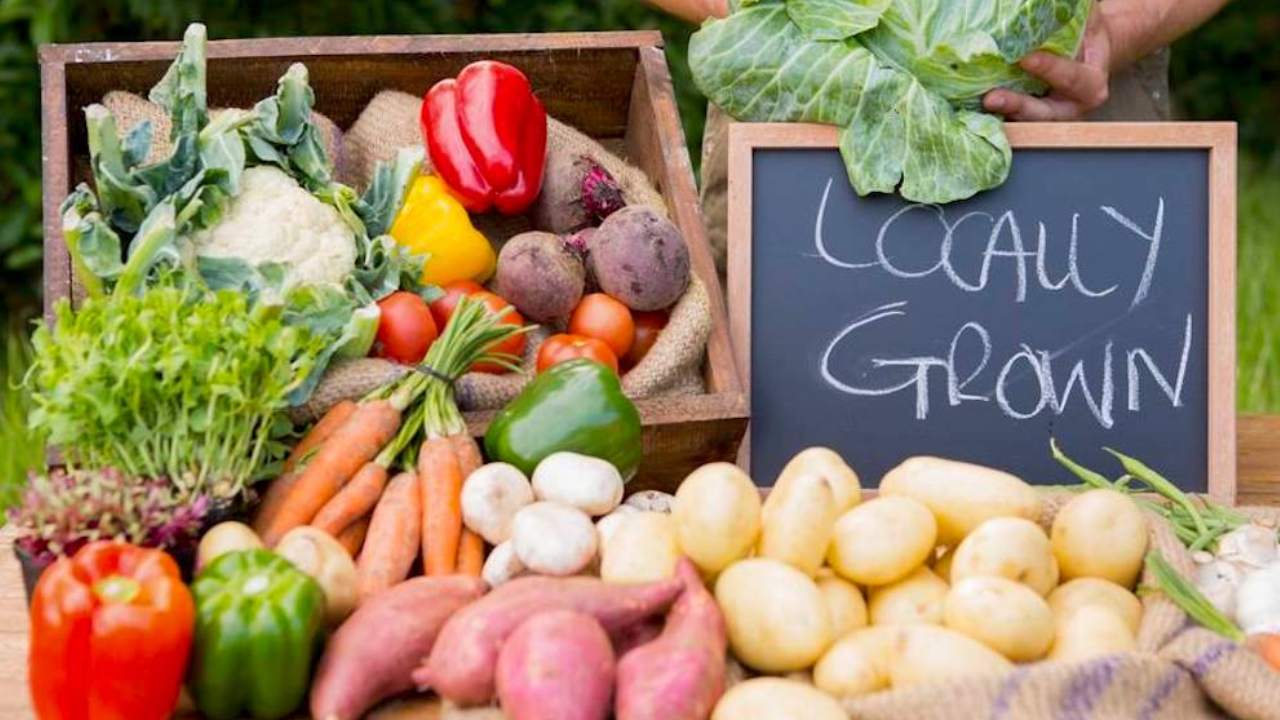 Ecofriendly Living: పర్యావరణహిత జీవనానికి సింపుల్ టిప్స్