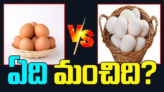 Naatu Egg vs Farm Egg: నాటు గుడ్డు వర్సెస్ ఫారం గుడ్డు..  ఆరోగ్యానికి ఏది మంచిది?