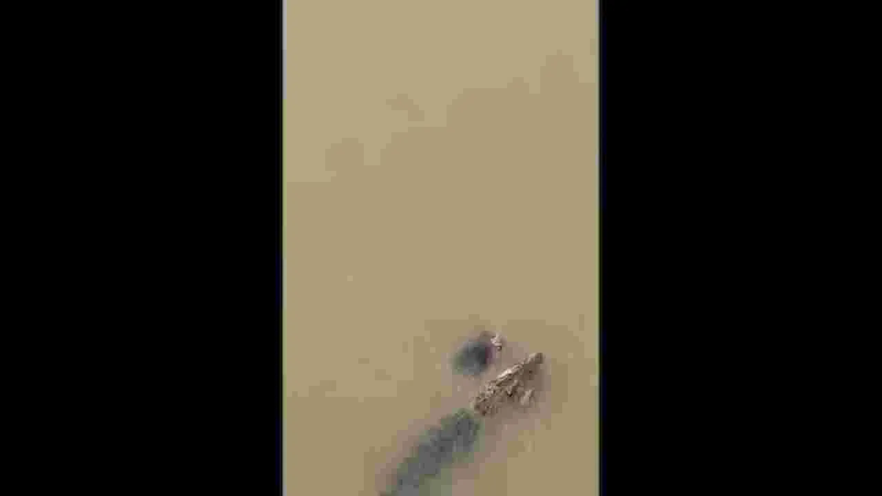 Odisha Crocodile Incident: మహిళ దుస్తులు ఉతుక్కుంటుండగా.. నదిలోని మొసలి ఒక్కసారిగా.. షాకింగ్ వీడియో