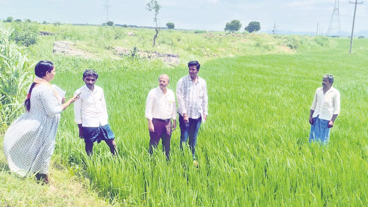 ఈ క్రాప్‌ నమోదుకు గడువు పెంపు