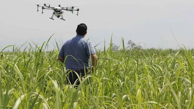 Farming Tips: రైతులకు అలర్ట్.. అగ్గి తెగులును ఇలా తరిమికొట్టండి..