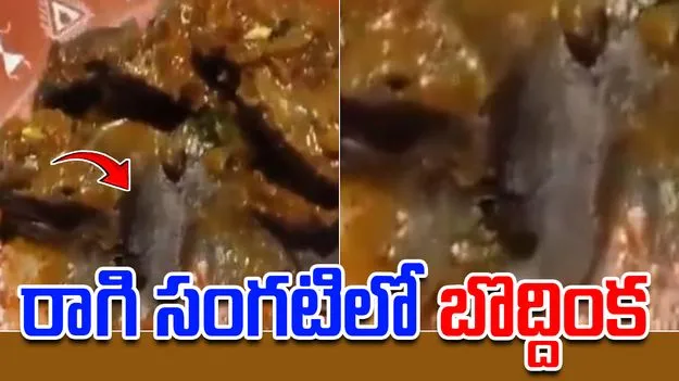 Cockroach Found In Ragi Sangati: కస్టమర్‌కు ఊహించని షాక్.. రాగి సంగటిలో బొద్దింక..