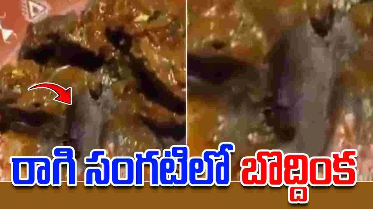 Cockroach Found In Ragi Sangati: కస్టమర్‌కు ఊహించని షాక్.. రాగి సంగటిలో బొద్దింక..