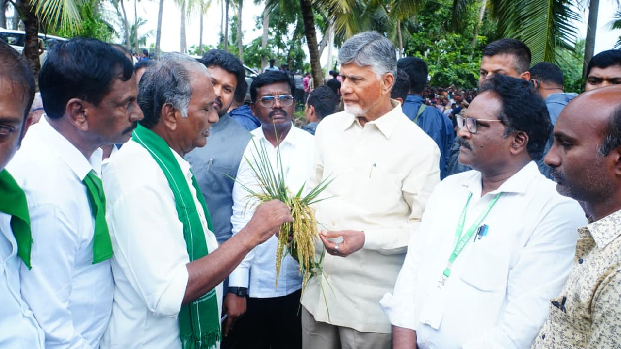 Cyclone Montha: కోనసీమ జిల్లాలో వరి భూములను పరిశీలించిన సీఎం చంద్రబాబు 