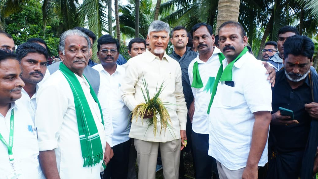 Cyclone Montha: కోనసీమ జిల్లాలో వరి భూములను పరిశీలించిన సీఎం చంద్రబాబు 