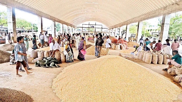  యార్డుకు పంట ఉత్పత్తులు 