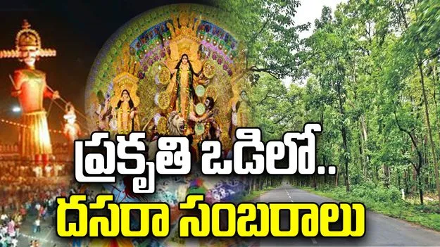 Dussehra From Hyderabad Tour: దసరా సెలవుల స్పెషల్ ట్రిప్.. ప్రకృతి ఒడిలో విహారయాత్ర
