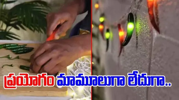 Diwali Jugaad Viral Video: మిరపకాయలతో దీపావళి సంబరాలు.. ఇతడి టాలెంట్ చూస్తే నోరెళ్లబెడతారు.. 