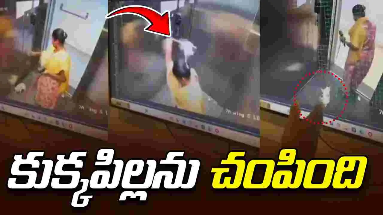 Viral Video: లిఫ్ట్‌లో కుక్కపిల్లను నేలకేసి కొట్టి చంపిన పనిమనిషి