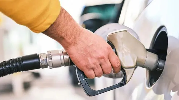 E20 Vehicle Mileage Issues: ఈ20 ఇంధనంతో మైలేజీ సమస్యా.. ఇలా చేస్తే మీ సమస్యకు పరిష్కారం