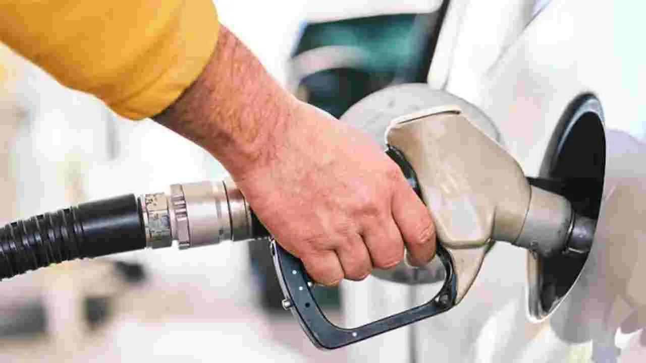 E20 Vehicle Mileage Issues: ఈ20 ఇంధనంతో మైలేజీ సమస్యా.. ఇలా చేస్తే మీ సమస్యకు పరిష్కారం