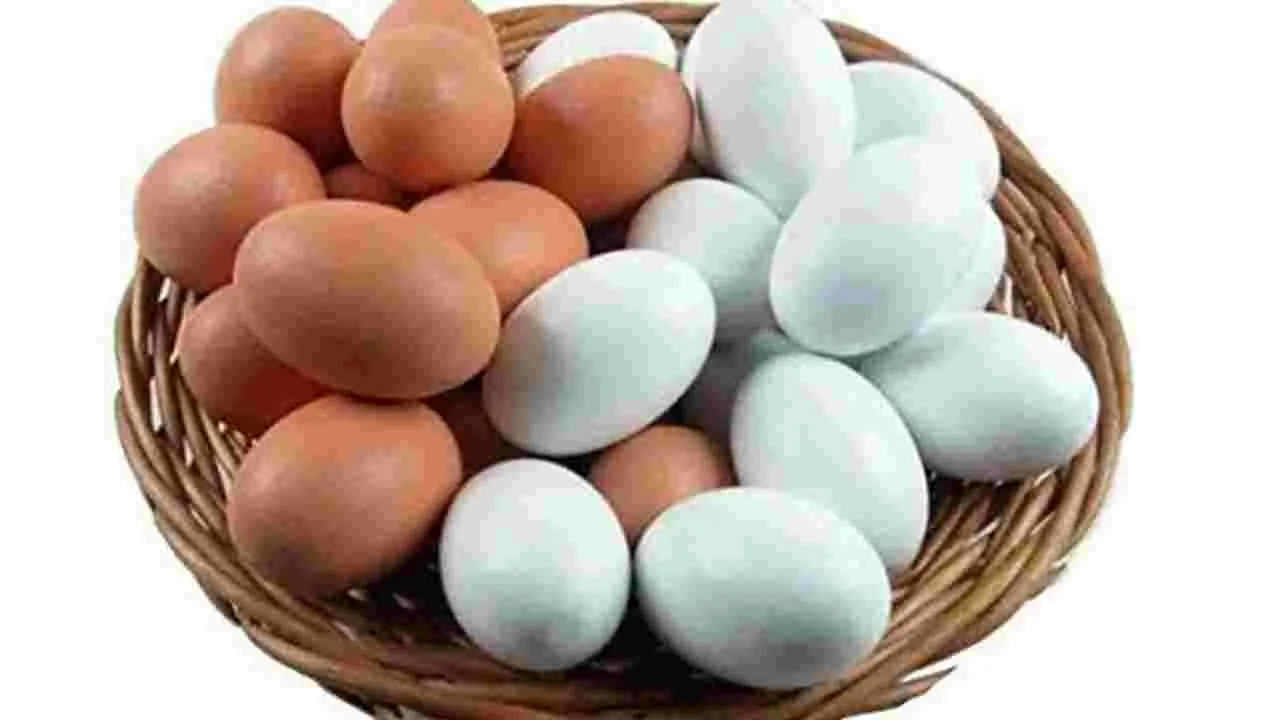 Tricks to Identify Fake Eggs: జాగ్రత్త.. నకిలీ గుడ్లను ఇలా గుర్తించండి.. 