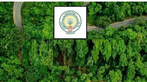 Forest Department Scam: అటవీ శాఖలో  అవినీతి..!
