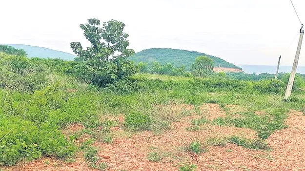 తెరపైకి ఫ్రీహోల్డ్‌