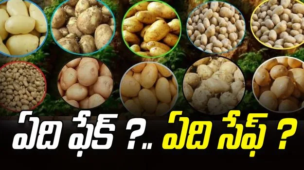 Fake Potatoes Identify: మార్కెట్‌లో ఫేక్ బంగాళాదుంపలు.. ఇలా గుర్తించండి.. 