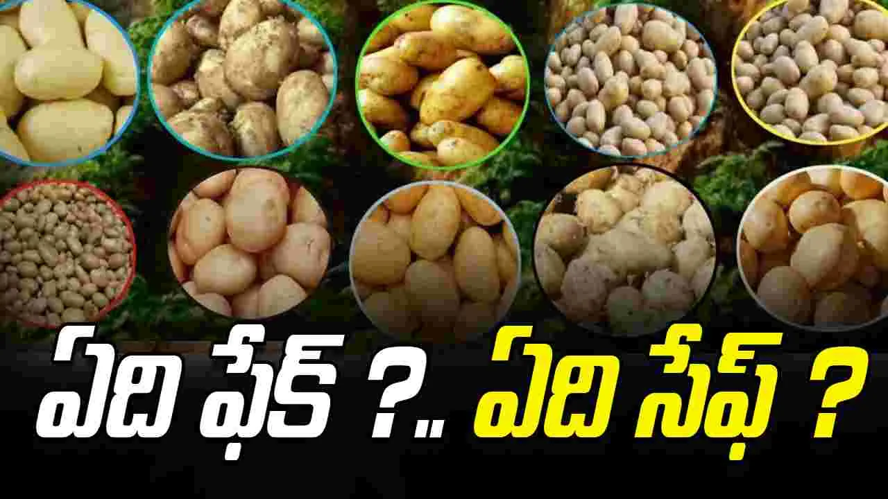 Fake Potatoes Identify: మార్కెట్‌లో ఫేక్ బంగాళాదుంపలు.. ఇలా గుర్తించండి.. 