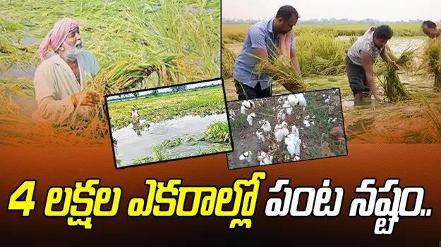 Cyclone Montha Causes Crop Loss: మొంథా తుపాన్ ఎఫెక్ట్.. 4 లక్షల ఎకరాల్లో పంట నష్టం..