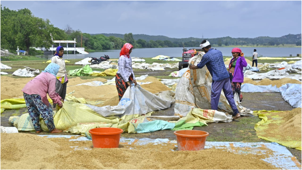  Nizamabad: వర్షాల ఎఫెక్ట్.. మొలకెత్తిన వరి ధాన్యం