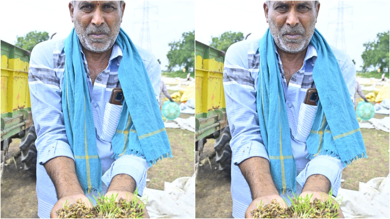  Nizamabad: వర్షాల ఎఫెక్ట్.. మొలకెత్తిన వరి ధాన్యం