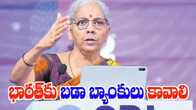 Finance Minister Nirmala Sitharaman: భారత్‌కు బడా బ్యాంకులు కావాలి