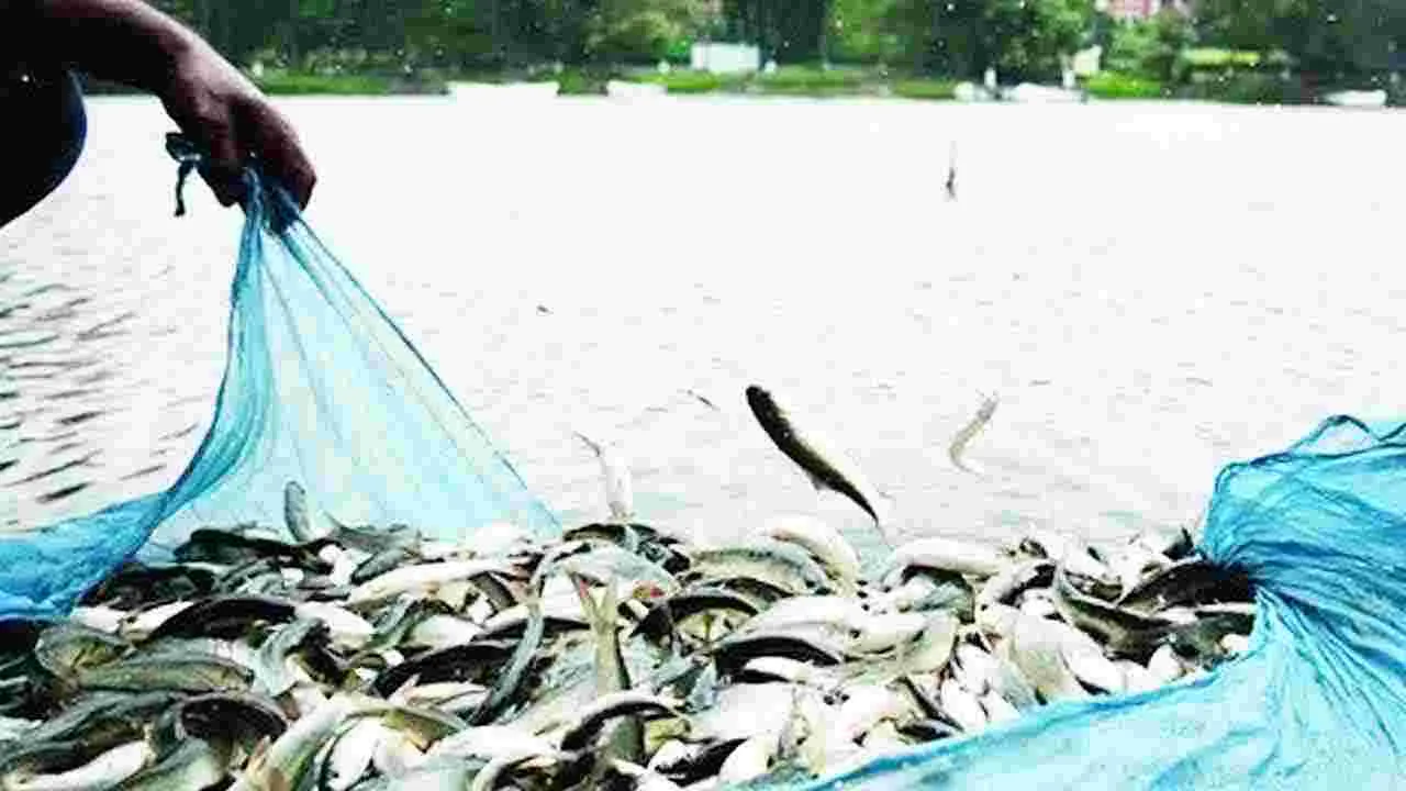 Fish Seed Production: చేపా చేపా ఎందుకు పెరగట్లే.. మత్స్యకారుల ఆవేదన