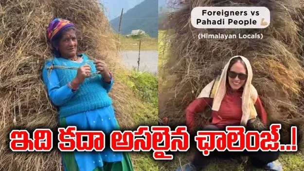 Watch Video: బామ్మ రాక్స్.. టూరిస్ట్ షాక్.. వీడియో చూస్తే వావ్ అనాల్సిందే..!