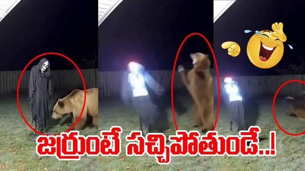 Viral Video: ఈ వీడియో చూస్తే పడిపడి నవ్వాల్సిందే.. అస్సలు మిస్ అవ్వకండి..!