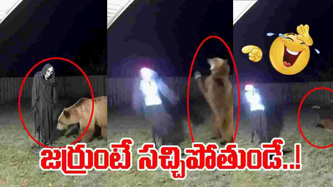 Viral Video: ఈ వీడియో చూస్తే పడిపడి నవ్వాల్సిందే.. అస్సలు మిస్ అవ్వకండి..!